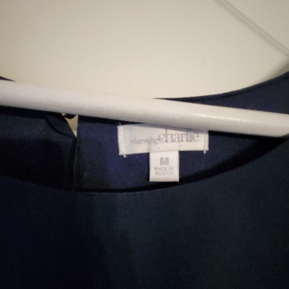 NWT CHARMING CHARLIE shiffon dress Blue Women's Sz Medium - Picture 6 of 9